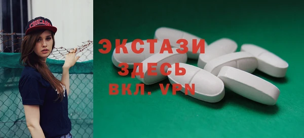 СК Пересвет