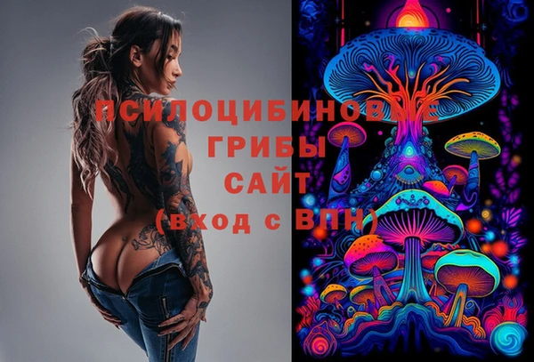 метадон Осташков