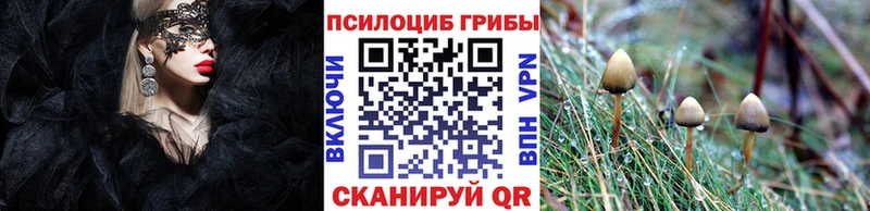 Псилоцибиновые грибы MAGIC MUSHROOMS  Белый 